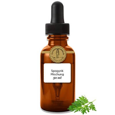 PS802.3 Spagyrik PS-Mischung