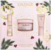 Caudalie Resveratrol Lift Kräuter-Nachtcreme Set