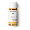 DR.HAUSCHKA Gesichtsöl Probierpackung