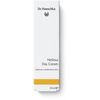 DR.HAUSCHKA Melissen Tagescreme + Tönungsfluid GRATIS